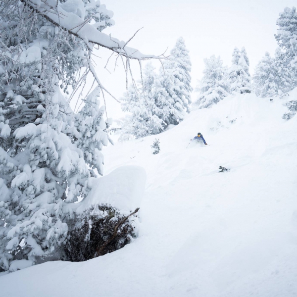 Deep days in the Dolomites - Individuelle Freeride-Tour mit Bergf&uuml;hrer - Catores