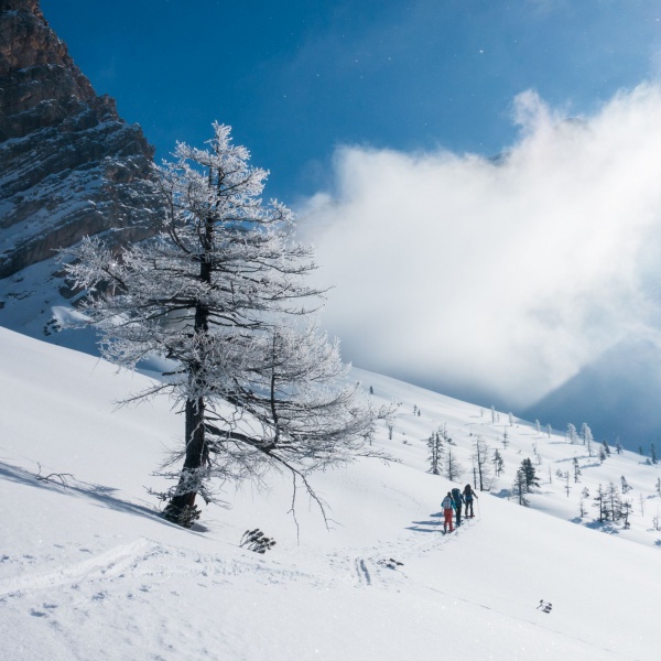 Winter in den Dolomiten - Anf&auml;ngerskitour f&uuml;r Einsteiger - Catores