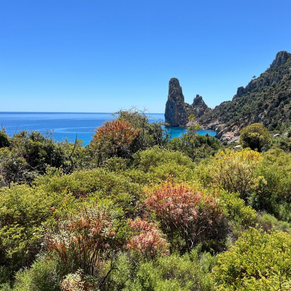 Pedra Longa - Mediterranes Flair - Trekking Selvaggio Blu - Catores