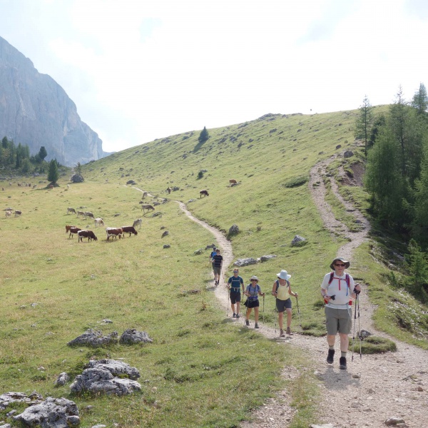Monte Pana - Rifugio Vicenza - Val Gardena Active Hikes - Catores