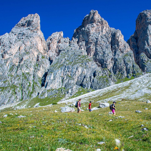 Under the Odle Peaks - Val Gardena Active Hikes - Catores